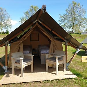 Mini Lodge, Camping Betuwe